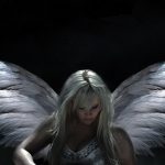 Luci